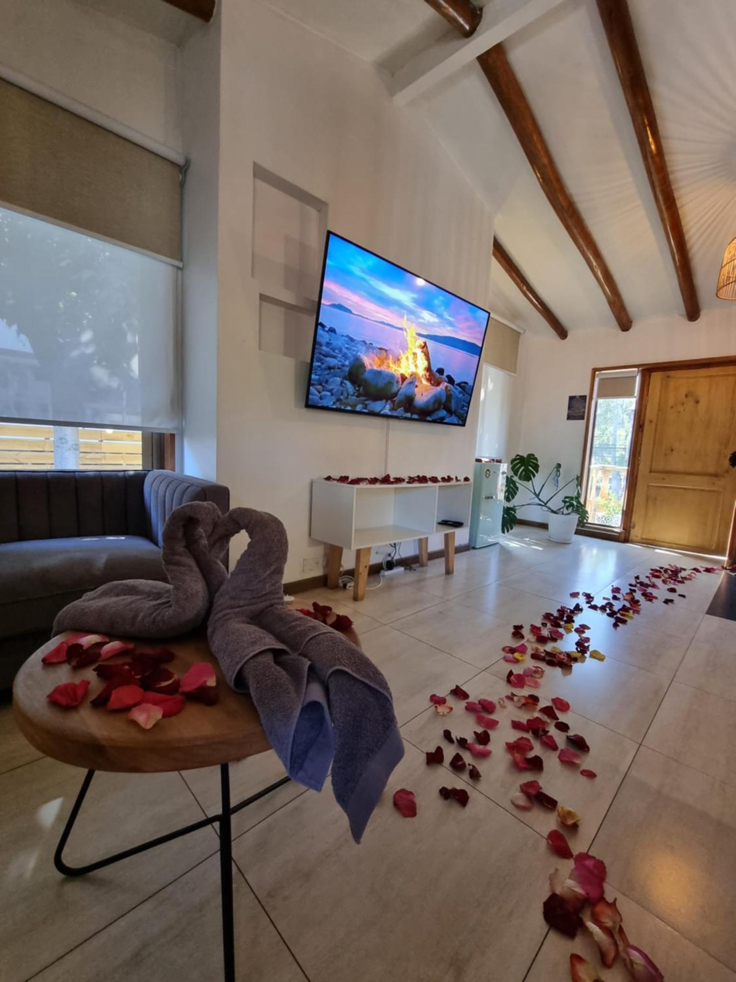 Renaca House B&B ビニャ・デル・マール エクステリア 写真